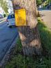 gelbes Schild nicht maehen Bienenblumen gesaet