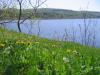 Tobique river